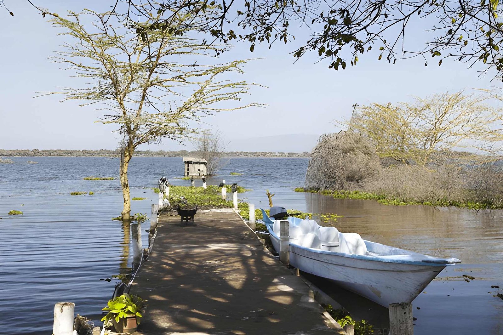 Lake Naivasha