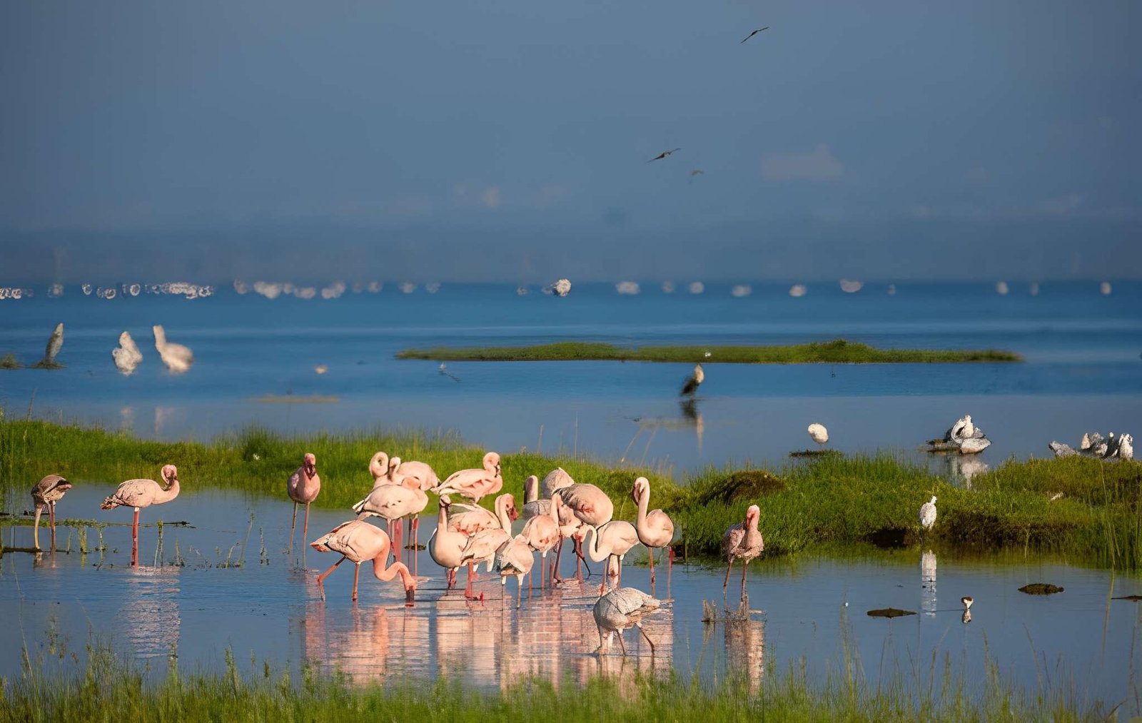Lake Nakuru National Park