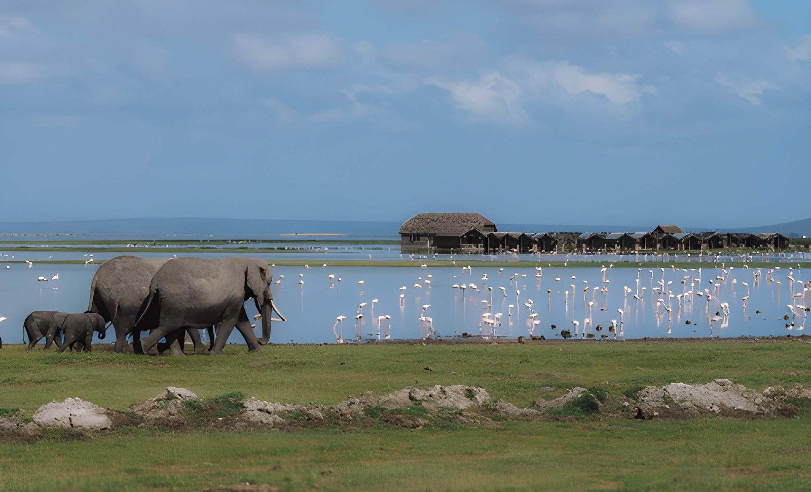 Wild Eagle Trails 3 Days Amboseli Budget Safari | Best Price Kenya