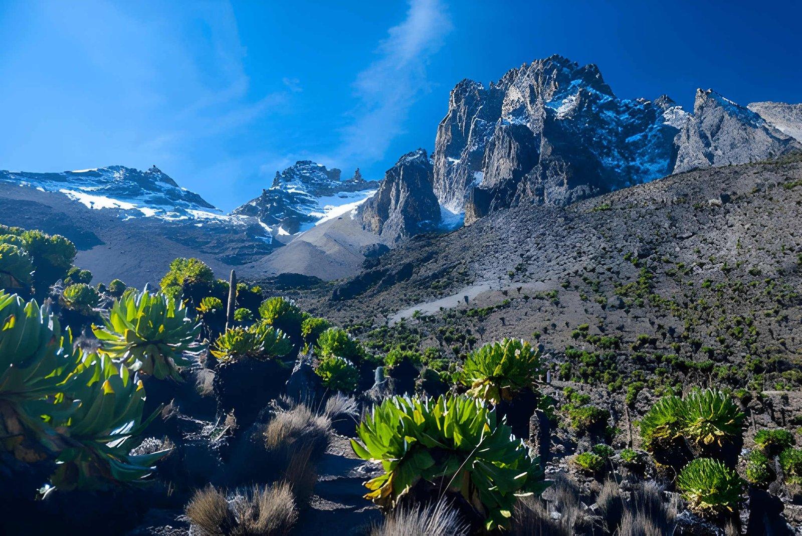 Wild Eagle Trails, Luxury Tours  4 Days Mt Kenya Climb | Sirimon Route Trek Kenya