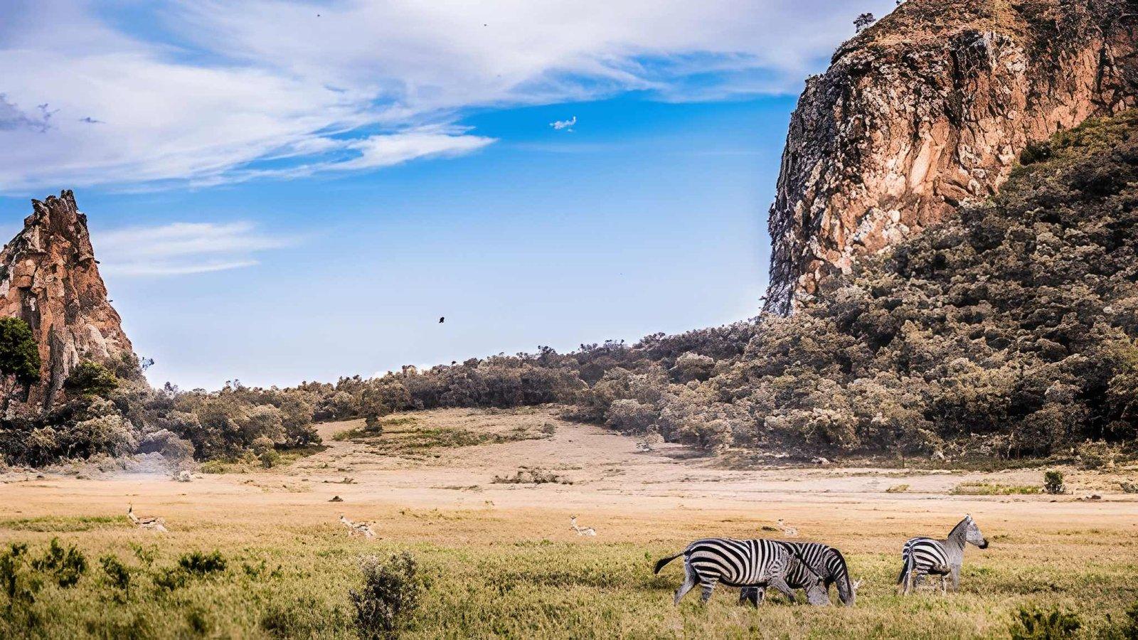 5 Days Kenya Safari | Mara, Nakuru, Naivasha Tour