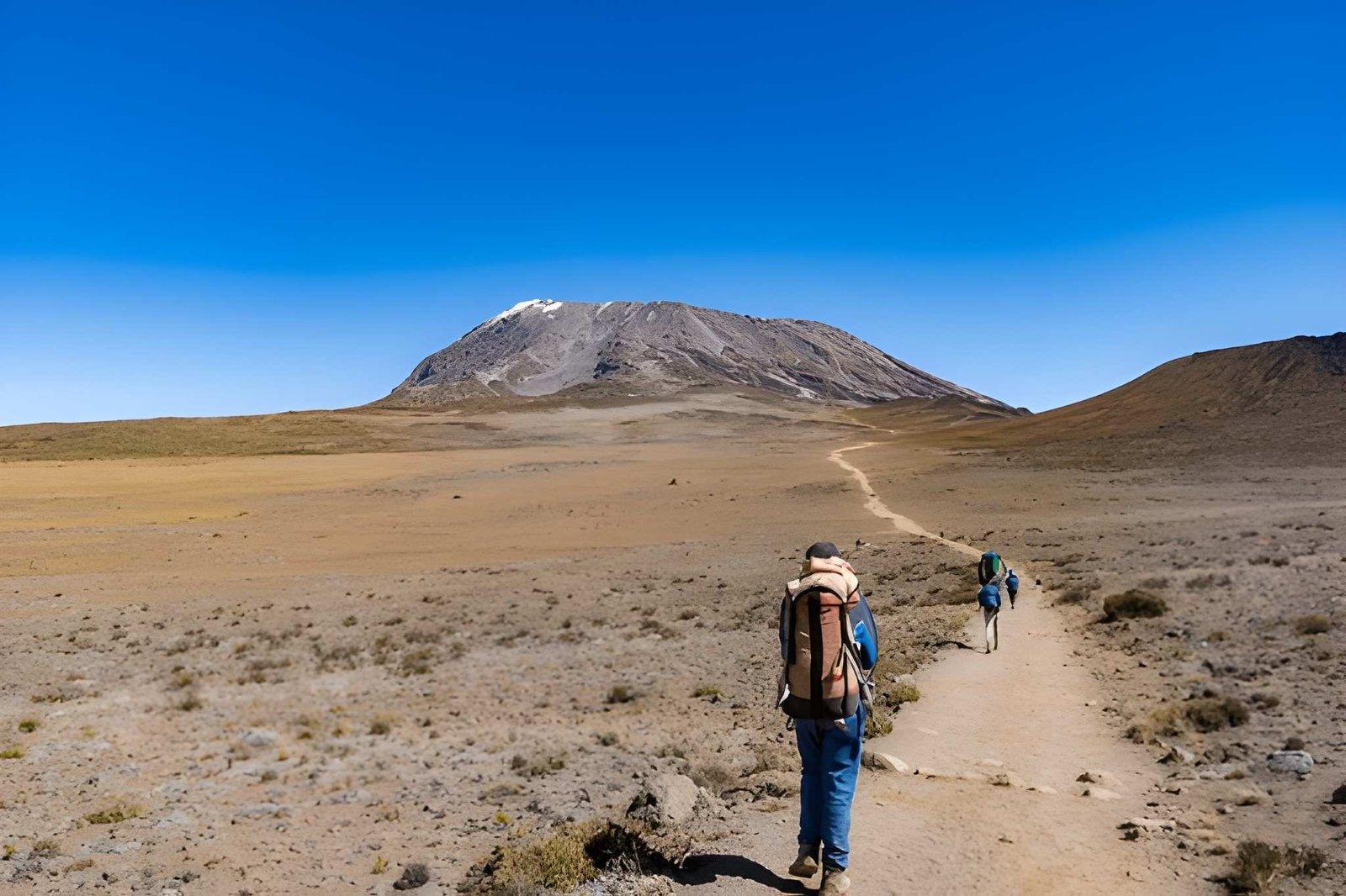 8 Days Kilimanjaro Climb Umbwe Route | Tough Trek