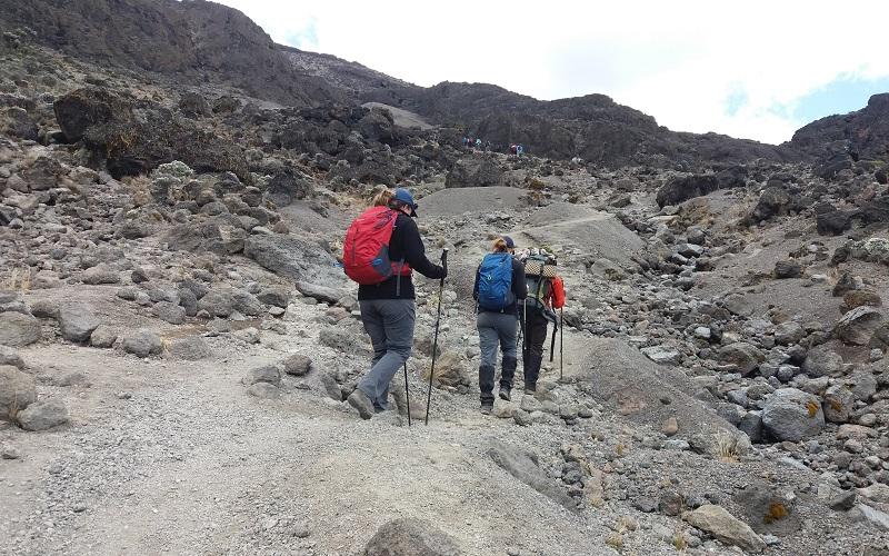 Wild Eagle Trails, Luxury Tours  8 Days Kilimanjaro Climb Umbwe Route | Tough Trek